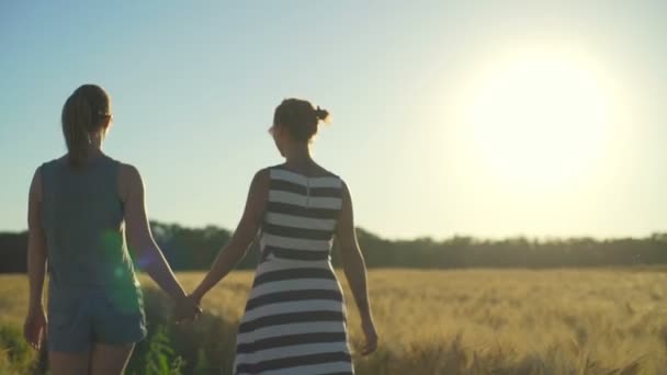 Flicka par promenader innehav händer omfamning vete fält soliga snabba slowmotion — Stockvideo