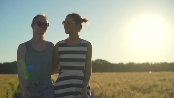 Menina casal de óculos de sol sorrindo andando Abraçar campo de trigo ensolarado movimento lento rápido — Vídeo de Stock