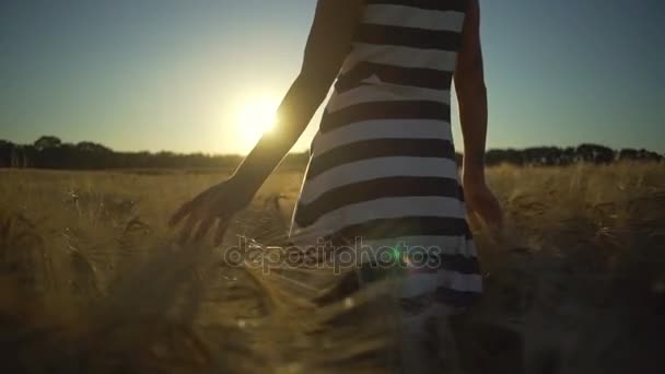 Meninas mão correndo através de campo de trigo vestido listrado ensolarado movimento lento rápido — Vídeo de Stock