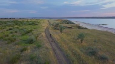Hava bisikletçi tek başına binmek valley road deniz kıyısı mavi gökyüzü gündoğumu dron görüntüleri