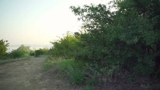 Ciclista passeio até floresta estrada mar nascer do sol capacete bicicleta rápido câmera lenta — Vídeo de Stock