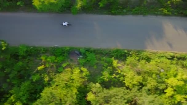 Top vista ciclista paseo bicicleta asfalto carretera bosque casco puesta del sol drone metraje — Vídeos de Stock