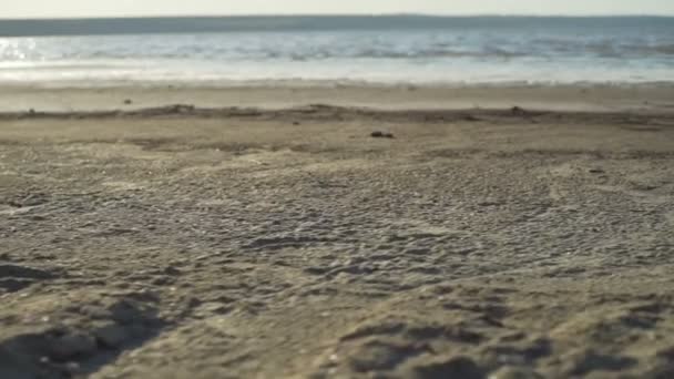 Gros plan sable sec bord de mer lever du soleil rapide ralenti — Video
