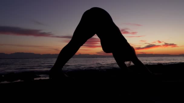 Sylwetka kobieta ćwiczenia jogi w dół pies chaturanga stanowi o zachodzie słońca nad morzem — Wideo stockowe