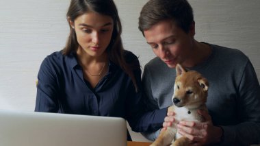 Bir dizüstü bilgisayarda çalışan Shiba inu yavru köpeği olan genç bir çift.