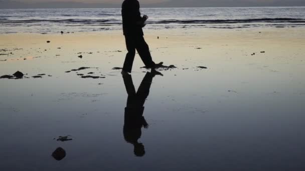 Silueta hombre practicando el elemento de qigong de pie a poca profundidad al atardecer — Vídeos de Stock