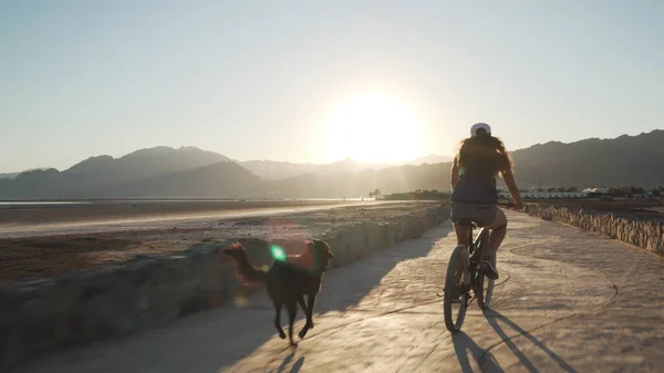 Sıska kız gün doğumunda köpeğiyle kaldırım yolunda bisiklet sürüyor..