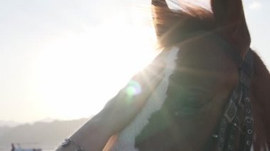 At kafası ve kadının ellerinin güneş ışığı altında yavaşça okşaması.