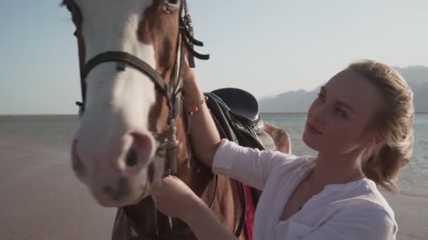 若いですcaucasian女の子ストロークA馬で海の海岸で日の出遅い動き — ストック動画