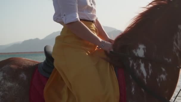 Zamknij nierozpoznawalną samicę jeżdżącą na koniu w kolorowych ciuchach. — Wideo stockowe