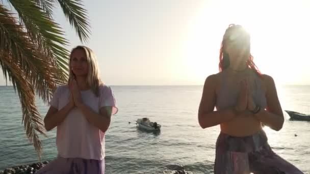 Две женщины практикуют осанку йоги дерева и дают друг другу пять на закате — стоковое видео