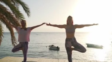 İki kadın, gün ışığında deniz kenarında ağaç yogası yapıyor.