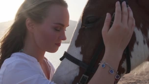 Zblízka mladá žena objímající koně zpomaleně. Koncept lásky a přátelství — Stock video