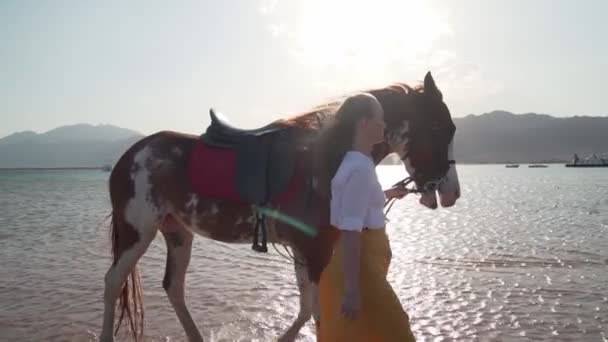 Młody kaukaski dziewczyna z koń chodzenie w morze brzeg przy wschodzie słońca powolny ruch — Wideo stockowe