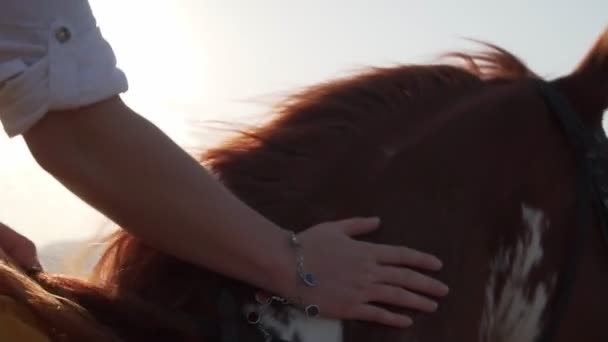 Close-up onherkenbare vrouwelijke paardrijden en strelen een paard kustlijn slow motion — Stockvideo