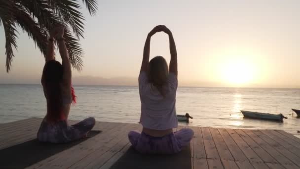 Visão traseira de mulheres fazendo prática de ioga à beira-mar ao pôr do sol — Vídeo de Stock