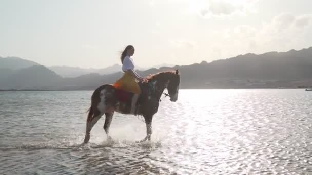 Καυκάσιος ξανθιά κοπέλα ιππασία ένα άλογο μέσα στο νερό την ανατολή αργή κίνηση — Αρχείο Βίντεο
