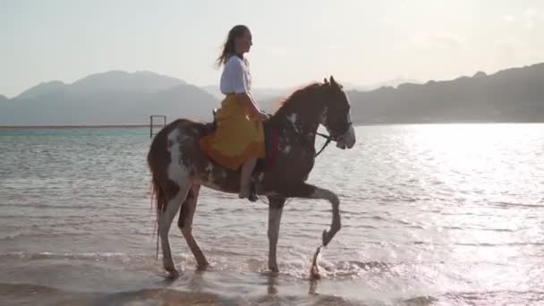 Giovane ragazza a cavallo mentre il cavallo batte i suoi zoccoli in acqua al rallentatore — Video Stock
