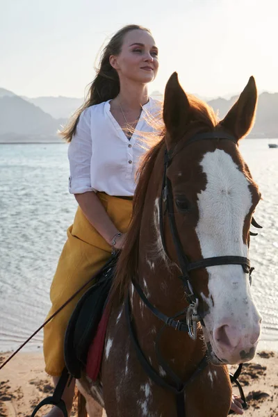 若い女の子の眺めは日没時に自然の中で馬に座っています ロイヤリティフリーのストック画像