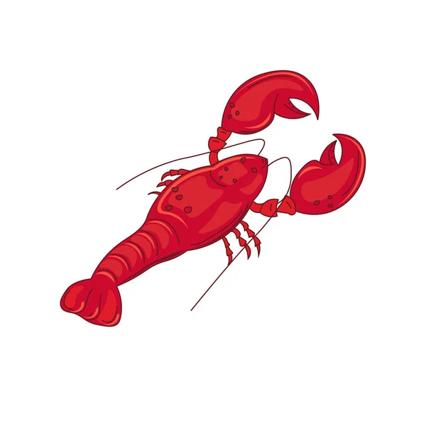 Lobster segar yang indah. Seafood - Stok Vektor