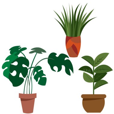A set of plants in pots for home and office