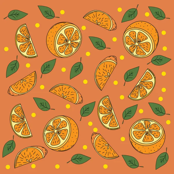 Orange paradise. Bright, juicy, sweet orange. — Stock Vector