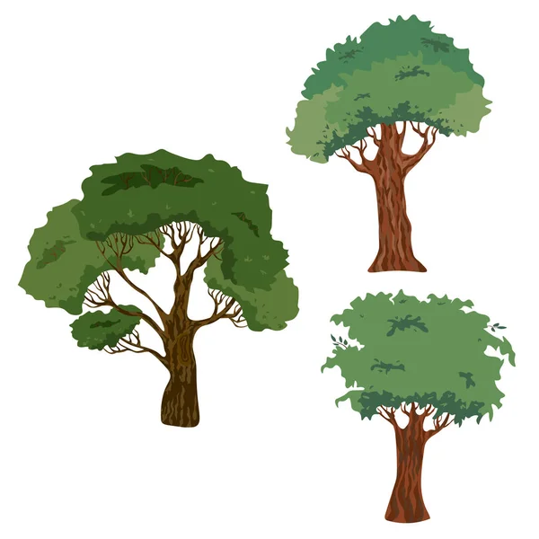 Dessin vectoriel d'un arbre à couronne et tronc . — Image vectorielle