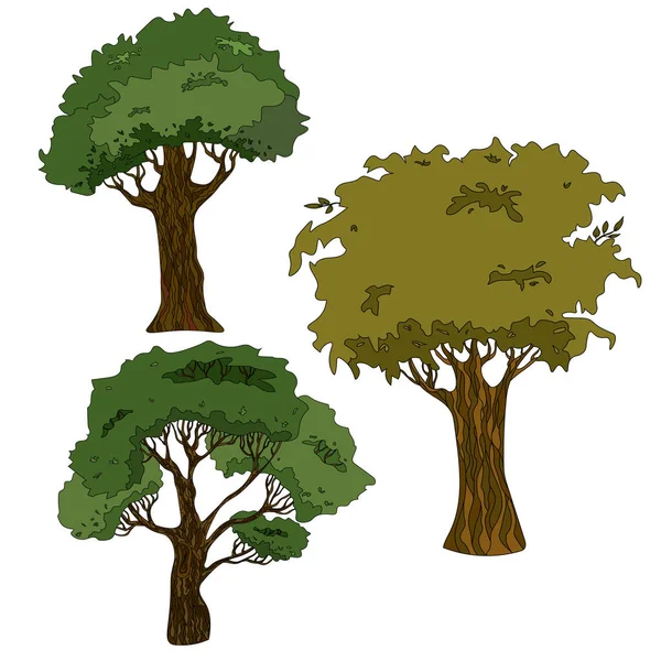 冠と幹のある木のベクトル図. — ストックベクタ