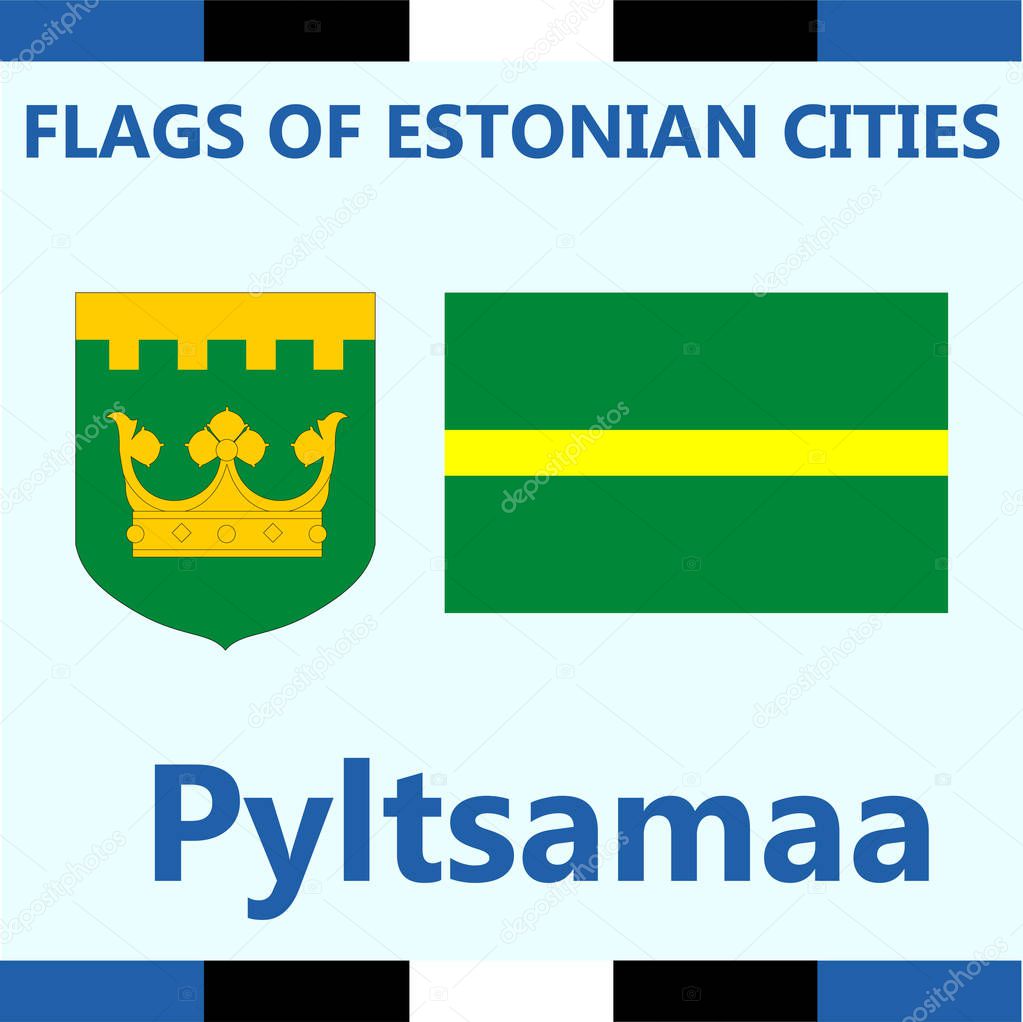 Flag of Estonian city Pyltsamaa