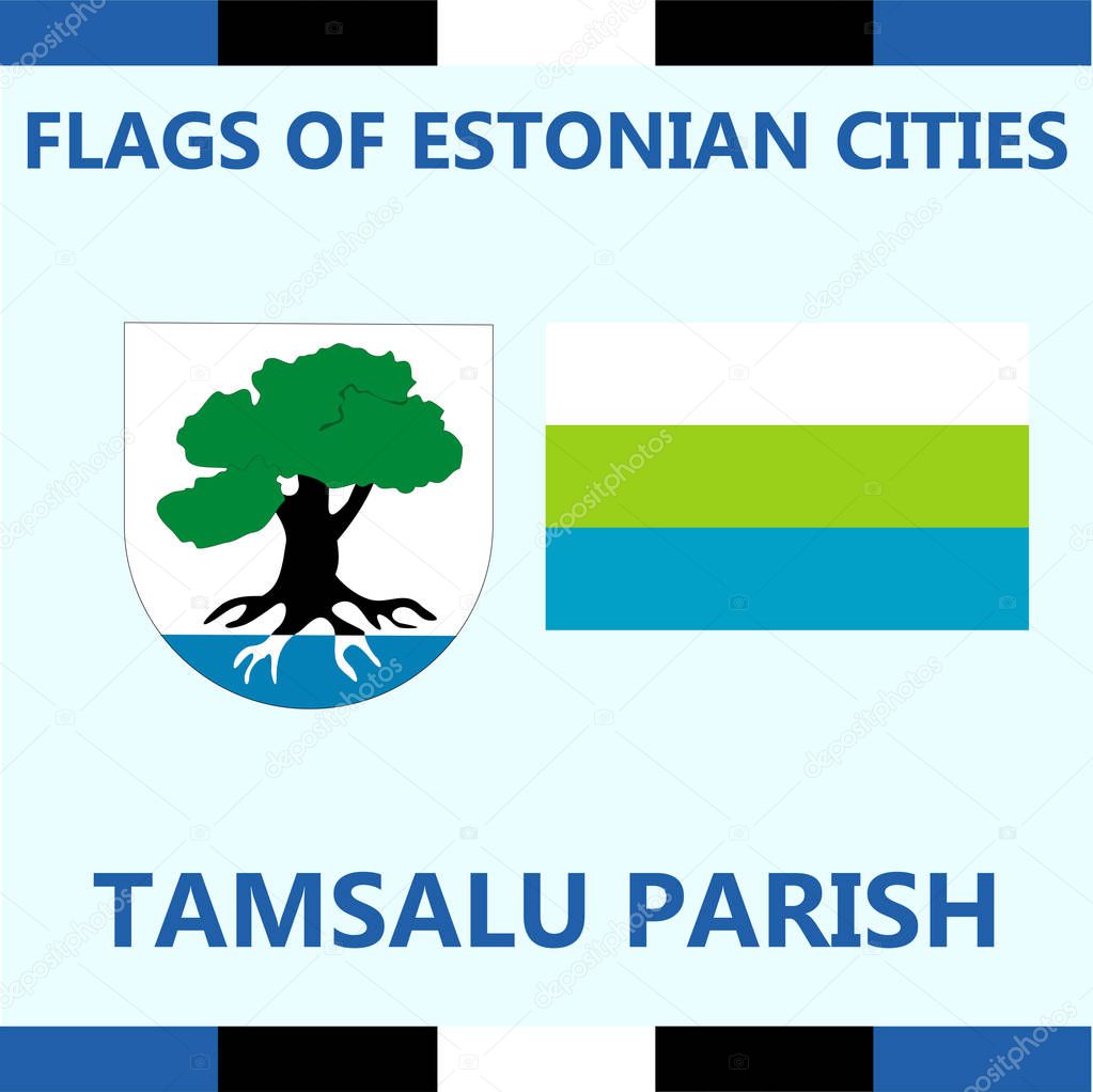 Flag of Estonian city Tamsalu Rarish