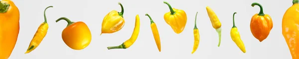 Gele paprika peulen, verschillende spp, paden — Stockfoto