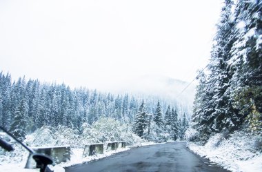 Kış yol ve karla kaplı ağaçlar