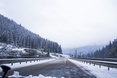 Kış yol ve karla kaplı ağaçlar