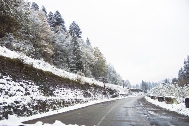 Kış yol ve karla kaplı ağaçlar