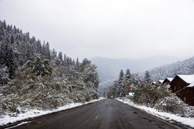 Kış yol ve karla kaplı ağaçlar