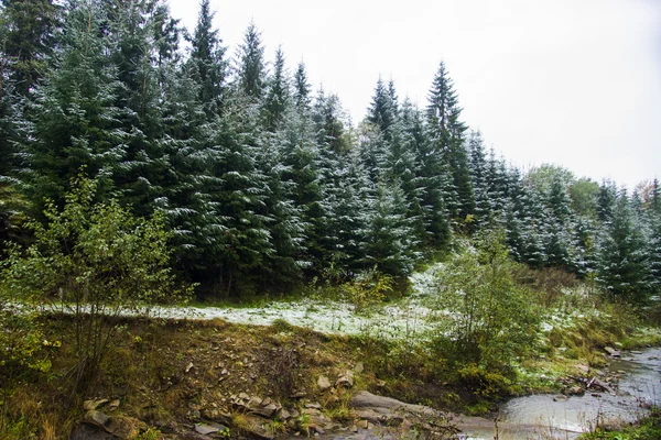 Strada invernale e alberi coperti di neve — Foto Stock