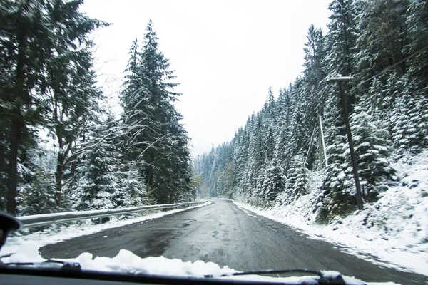 Camino de invierno y árboles cubiertos de nieve — Foto de Stock