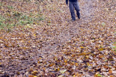 bir orman yolu üzerinde ayakkabı ayaklarda