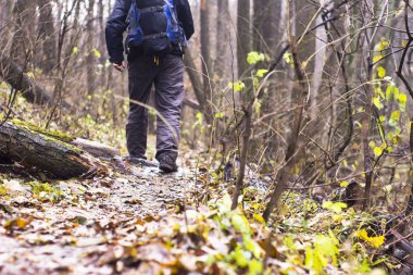 bir orman yolu üzerinde ayakkabı ayaklarda