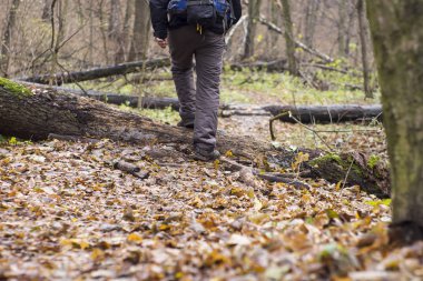 bir orman yolu üzerinde ayakkabı ayaklarda