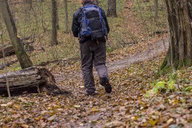 bir orman yolu üzerinde ayakkabı ayaklarda