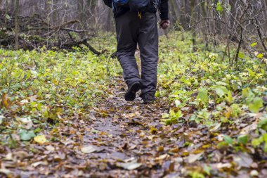 bir orman yolu üzerinde ayakkabı ayaklarda