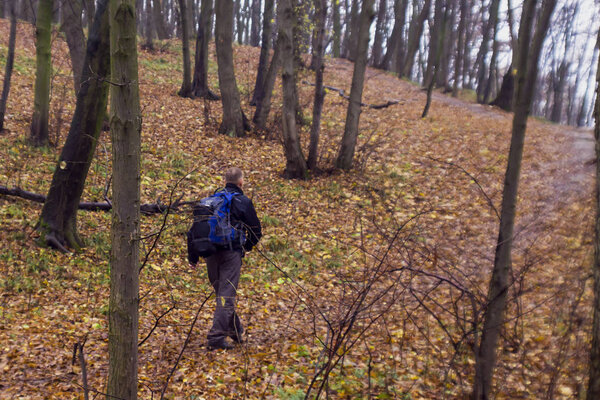 feet in shoes on a forest path
