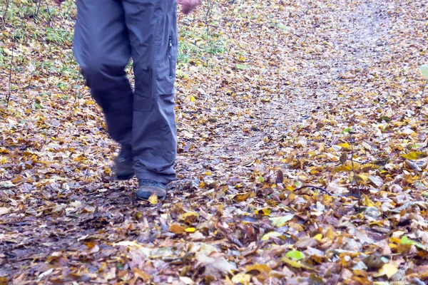 Feet in shoes on a forest path — Stock Photo, Image