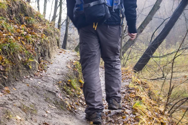 Feet in shoes on a forest path — Stock Photo, Image