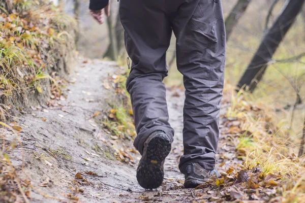 Füße in Schuhen auf einem Waldweg — Stockfoto