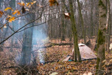 Arka plan çadırında ormanda yangın