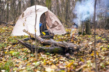 Çadır sonbahar ormanında.
