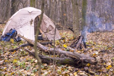 Çadır sonbahar ormanında.