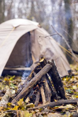 Arka plan çadırında ormanda yangın